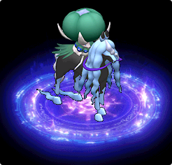 蕾冠王黑马形态